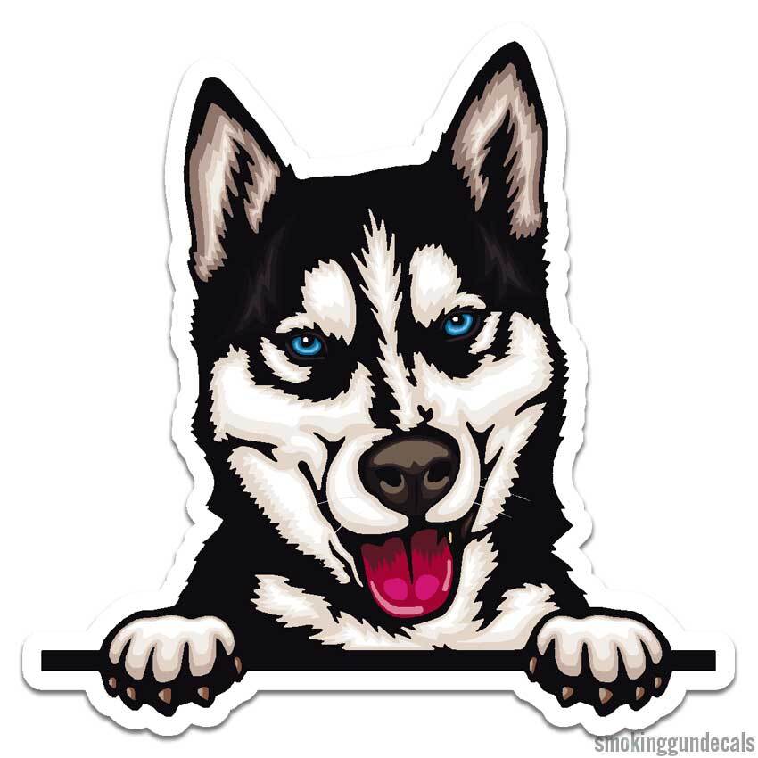Husky Dog Peeking, Vinyl Decal Sticker, Indoor Outdoor, 3 Sizes, #12104