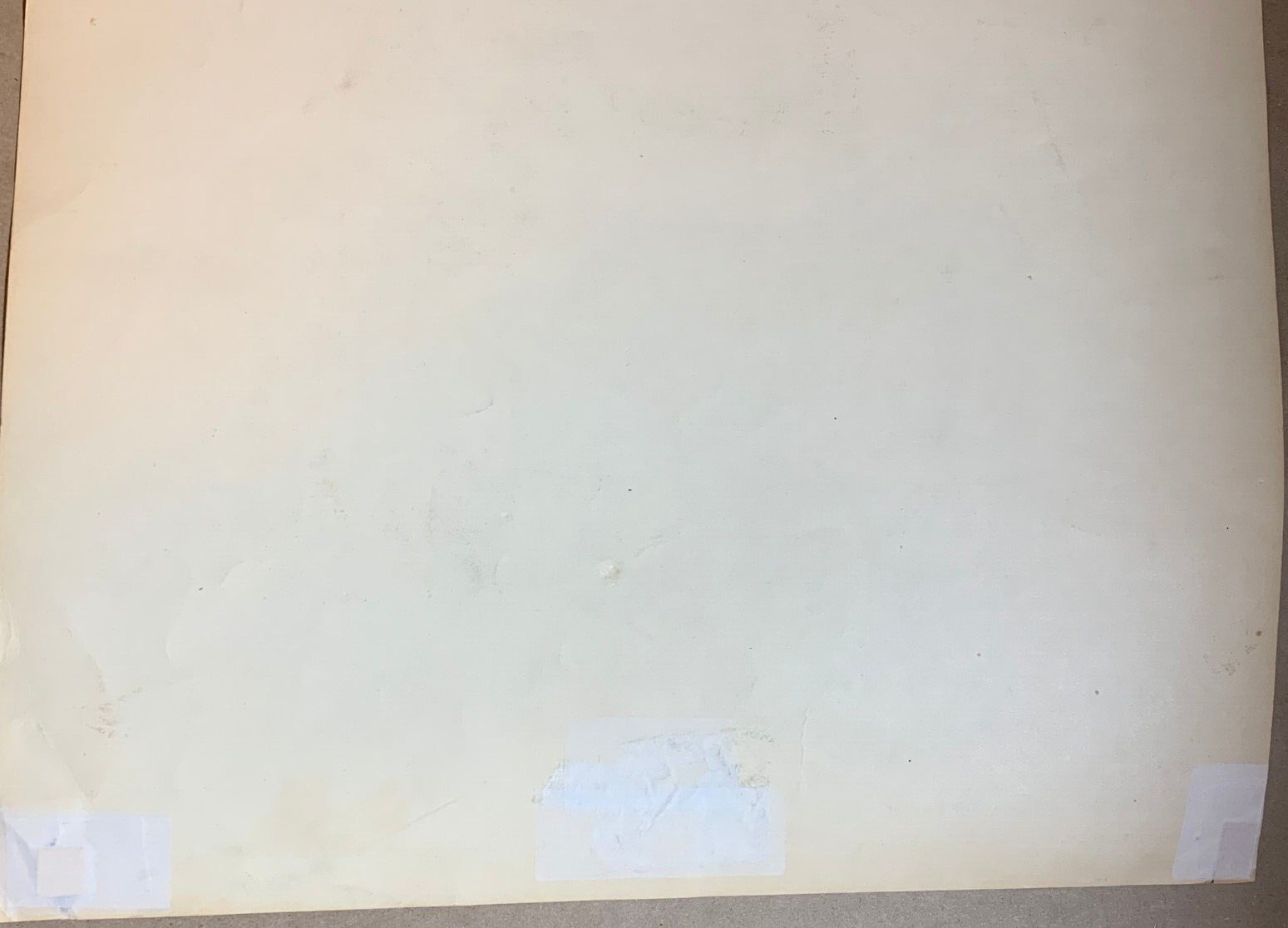 Foto 12 di 12