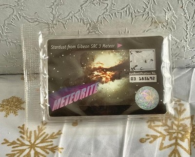Stardust from Gibeon SRC 3 Meteor/COA by Meteorite Men  Auth# 03-185692  
