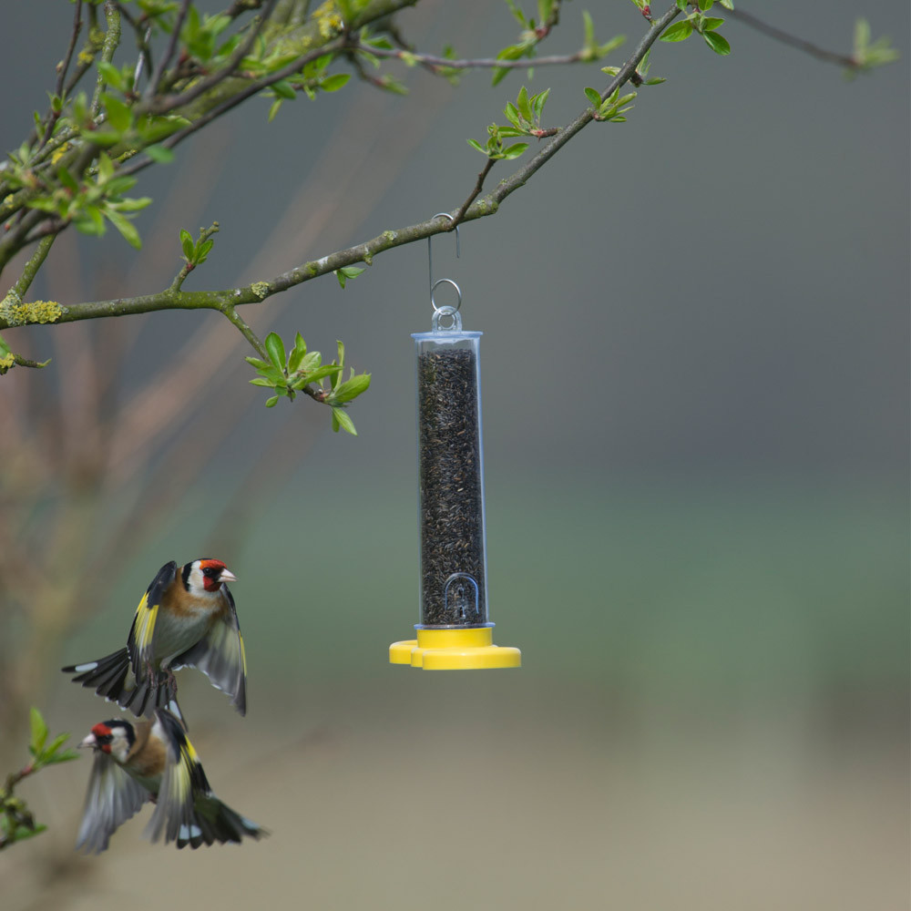 Jacobi Jayne Wild Bird Feeder Filled FREE Niger Seed 2 Port Holder