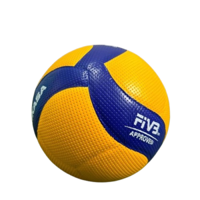 Lot De 10 Ballons Mikasa V200W Taille 5 - Couleurs Jaune/vert - Neufs FIVB