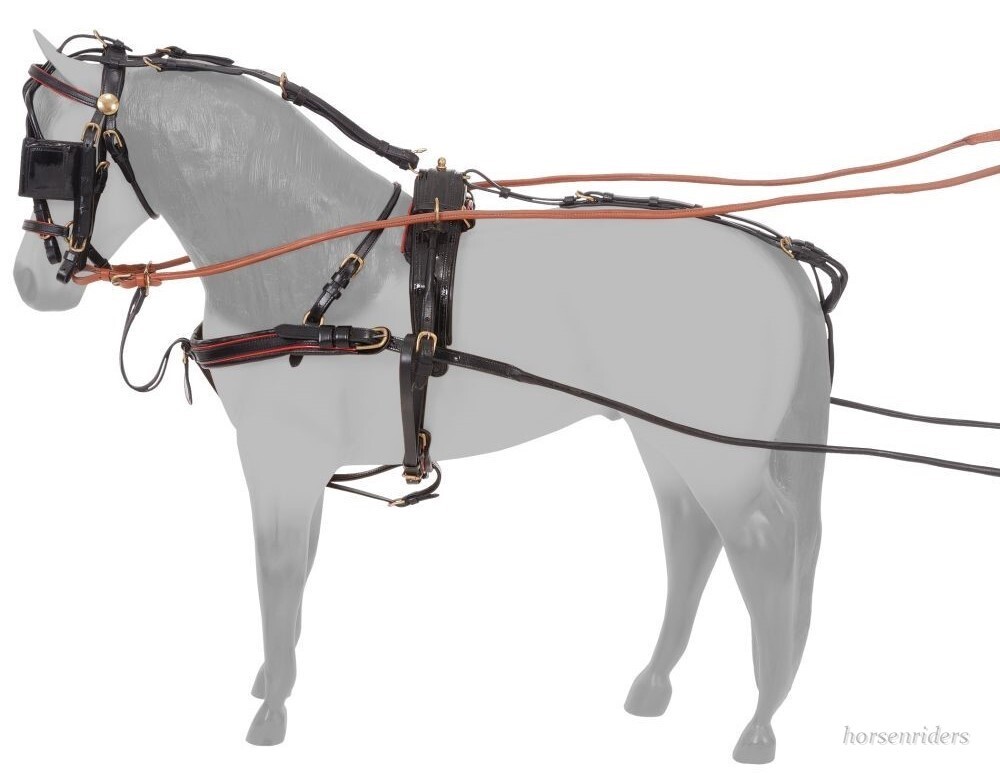 Miniature Horse Driving Harness Silver Royal Leather Show Driving Harness eBay