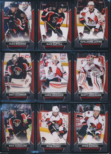 2006-07 to 2015-16 Choice Binghamton Senators AHL Team Set Single Cards - U PICK - Picture 184 of 194