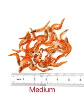 Greenlike Dried Medium Shrimp Shelling Shrimp 虾米 去壳虾米 中号 