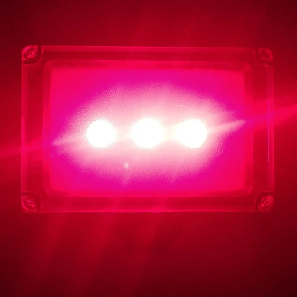 Best ir light for ghost sale hunting