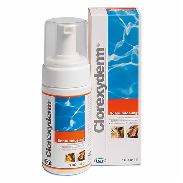 Icf Clorexyderm SchaumlöSung 100 Ml Hunde | Katzen | Haut | Reinigung-image