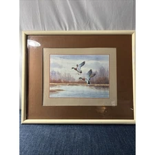 WM Tyner Duck Print “Mallards” 21” x 17” Watercolor Framed Under Plexiglass