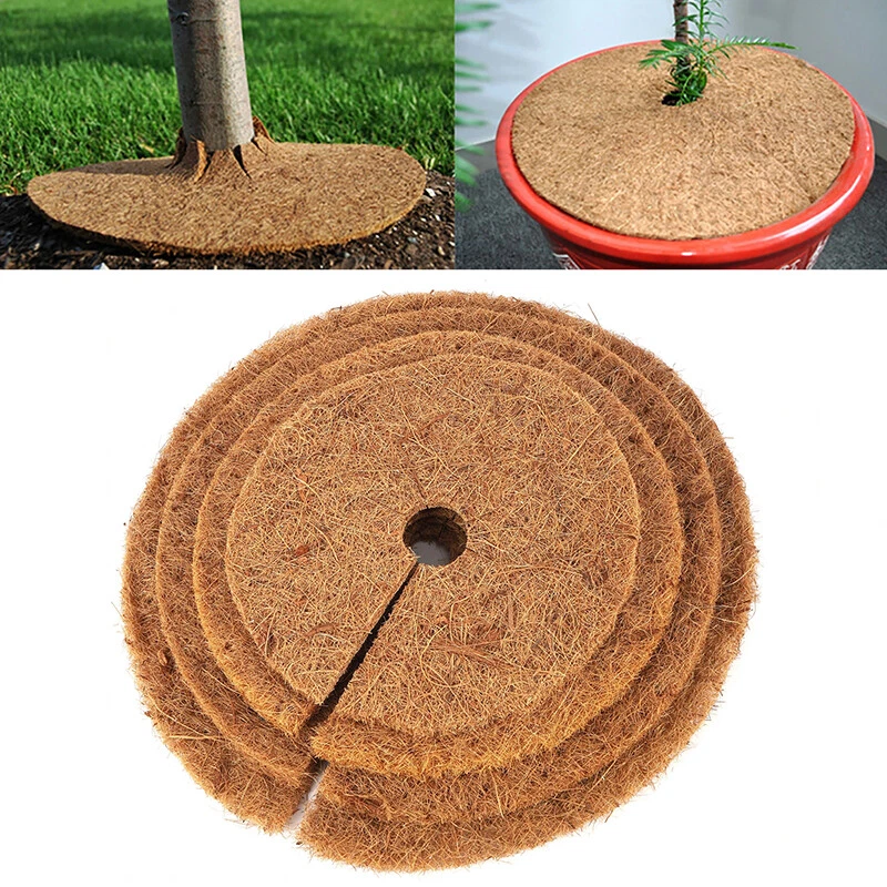 Top more than 157 coco fiber tree ring latest netgroup.edu.vn