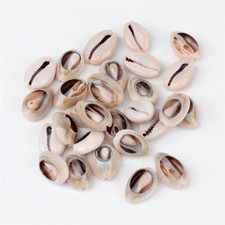 500 g Cowrie Shell Seashell Spiral Shell Beads 18 20x13 14x6 8mm about 340pcs