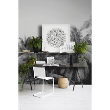 Palm Trees design holiday paradise banana travel photo beautiful sun Wall Mural