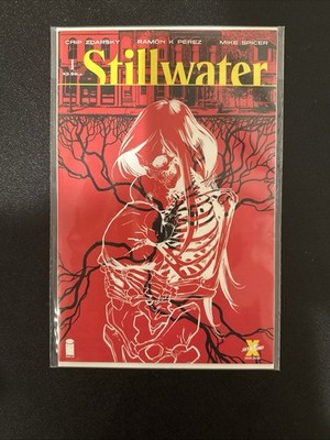 Stillwater #1  NM+ A Cover, 1st Print  Image Comics 2020  Chip Zdarsky