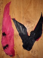 APPLICATION ANCIENNE OISEAUX PLUME ROUGE ET NOIR XIXe Modiste Chapeaux costume