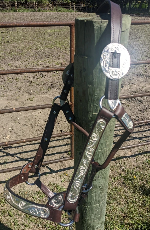 Halter Silver Show - Cuero de aceite oscuro - Diseño de cuerda tamaño de caballo - Vástago de plomo a juego Foto 3 de 4