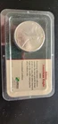 1991 American Silver Eagle Gem Uncirculated in Littleton Case
