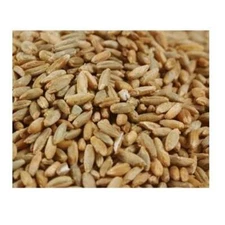 Grains Rye Berries 2x 25LB