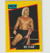 1991 Pro Legend Ric Flair impel Card#47 Bid Here at smokejoe13 if you win Pay us