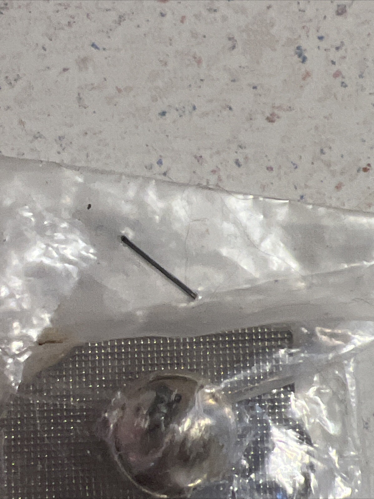Picture 5 of 5