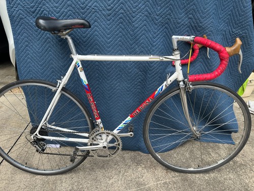 1986 De Rosa Professional Vintage Road Bike
