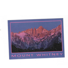 Vintage Mount Whitney Postcard USA
