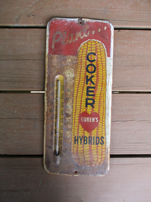 Vintage Coker's Hybrids Seed Corn Thermometer Metal Sign