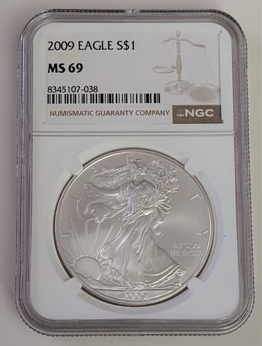 2009 EAGLE $1 NGC MS69 1 OUNCE SILVER COIN BROWN LABEL SKU 8345107-038