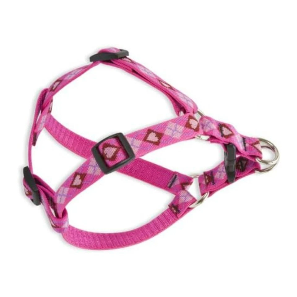 LupinePet Originals 3/4" Puppy Love 20-30" Step In Harness for Medium Dogs - Image 4 of 4