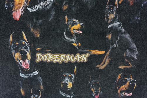 Aelfric Eden Doberman acid wash shirt tagged medium fits oversized more like XL - Picture 6 of 17