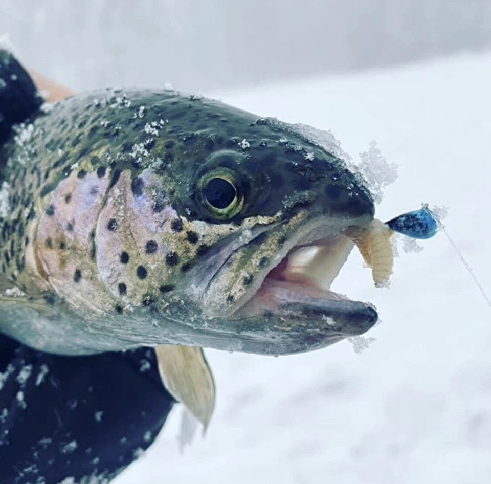 Fully Loaded Tungsten UV Glow Jig Kit with Box for Ice Fishing (35 Jigs) - Image 4 of 4