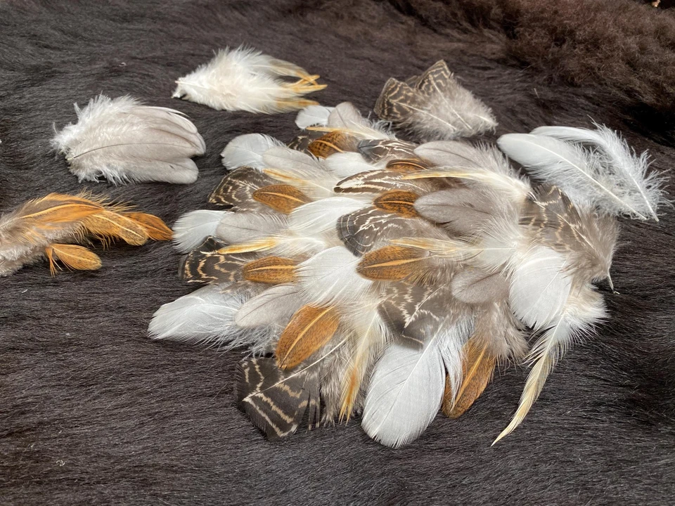 50er Federmix, 4-10cm, 5 Sorten, Hühnerfedern aus artgerechter Haltung, Naturfed - Bild 3 von 4
