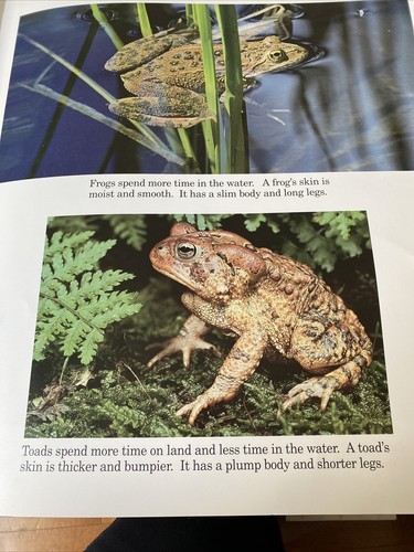 Those Fabulous Frogs (Paperback) - Picture 5 of 6