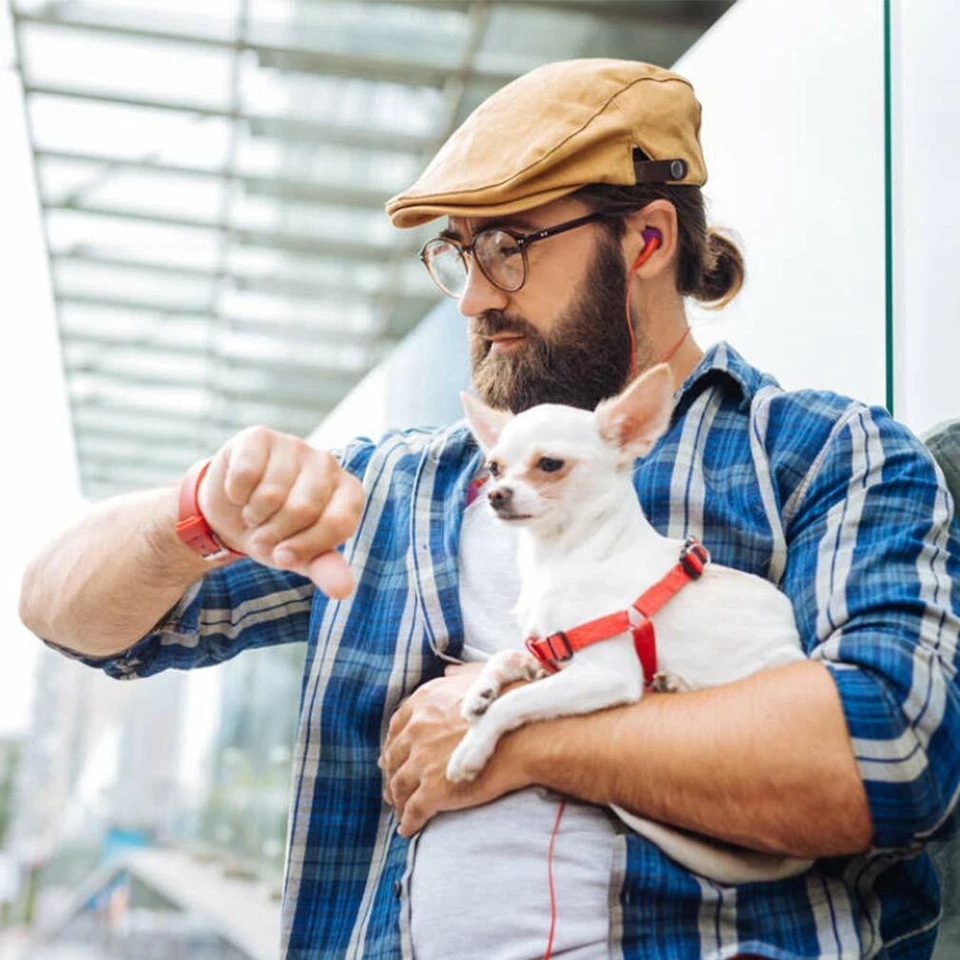 Cochecito para Mascotas 4 Ruedas Posh Plegable Impermeable Portátil Viaje Gato Perro Cochecito Foto 2 de 4