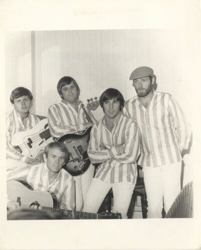 The Beach Boys Brian Wilson Mike Love 1960s Band Pose Vintage Stamped 8x10 Photo - Photo 1/2