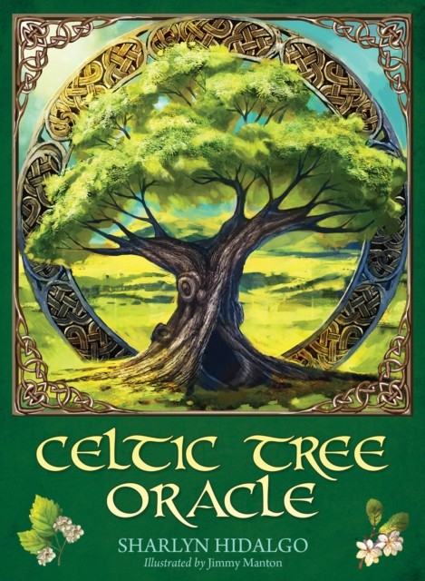 Celtic Tree Oracle: 25 full col cards & 116 page guidebook - Image 4