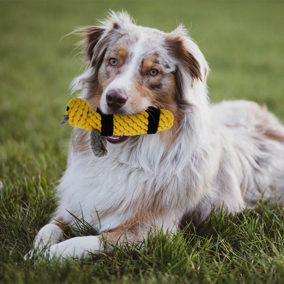 Pet Knitting Rope Large Dog Traction Rope Teasing Toys for Dogs Pet Knitting Puppy ...