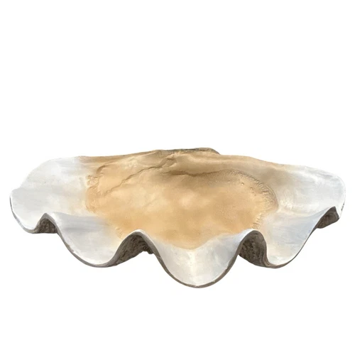 Uttermost Clam Coastal Polyresin Shell Bowl Antique White Brown Gray 16800 NEW - Picture 6 of 8