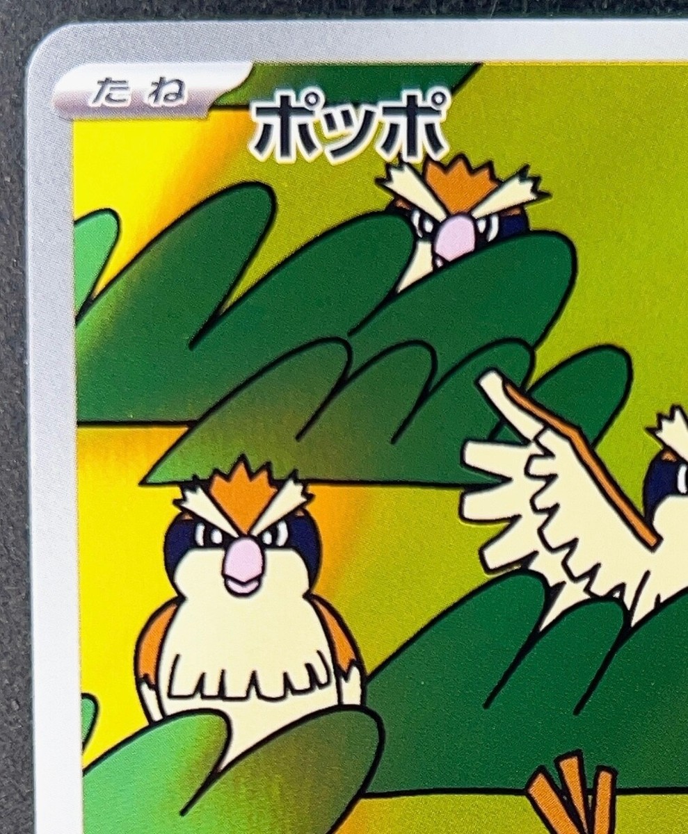 Pidgey AR 118/108 Japanese Pokemon Card SV3 Ruler of the Black Flame | eBay