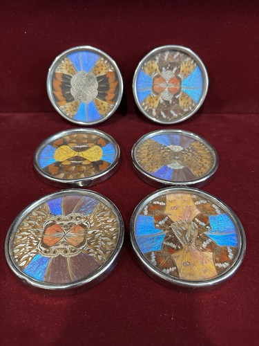 Set of 6 Vtg Brazilian Blue Morpho Butterfly Wing Plates 3.5" Zitrin Art Deco