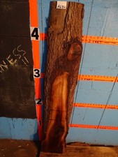 A634 2 3/16" THICK black walnut Live Edge Slab shelf table bench rustic