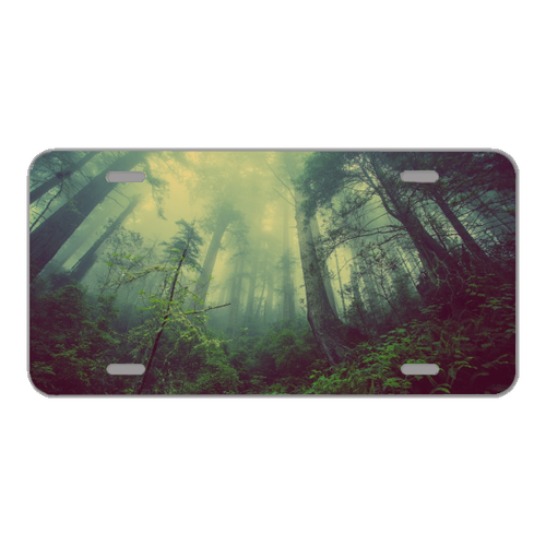 Custom Novelty License Plate With Stunning View Of Trees In Forest - 第 1/1 張圖片