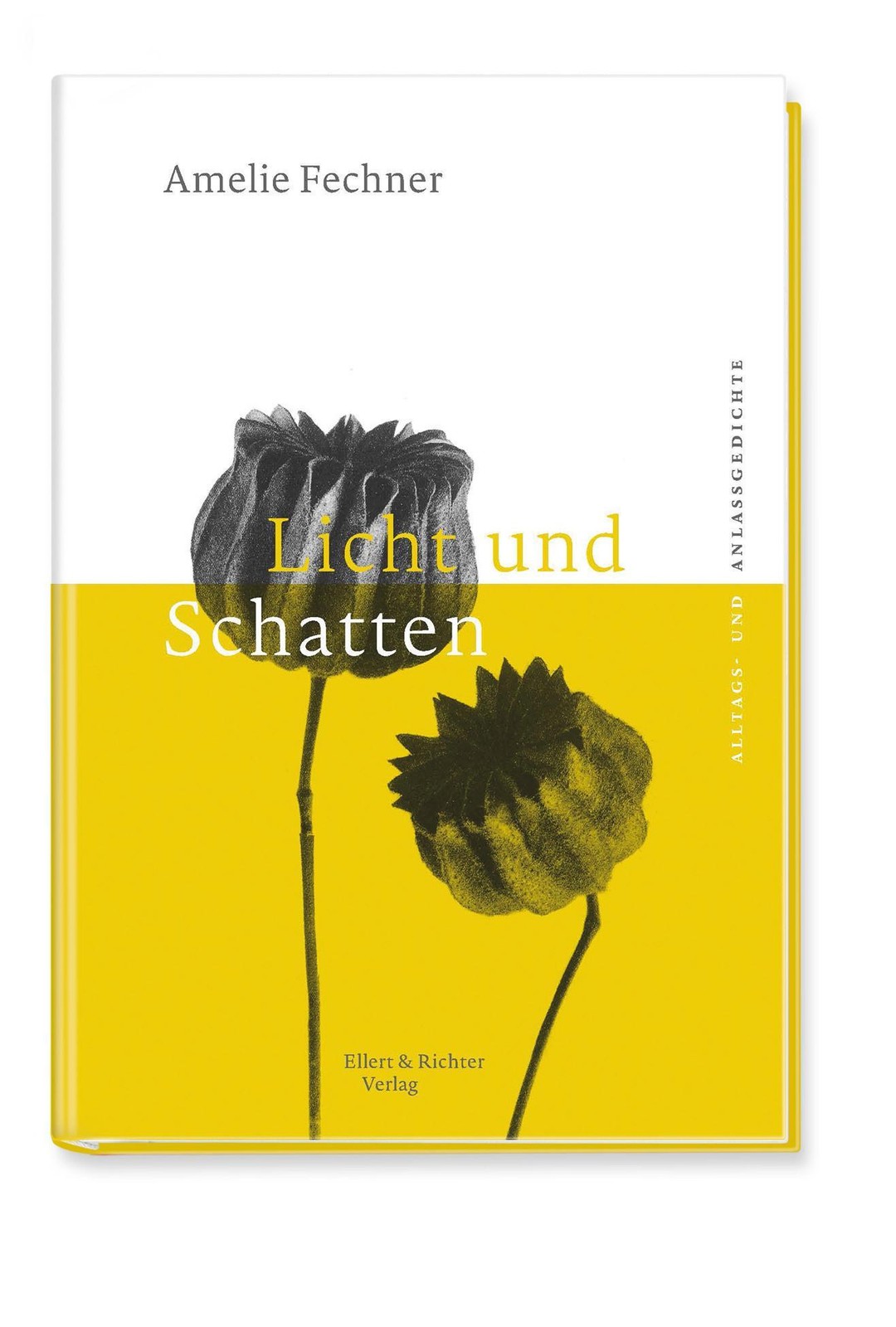 Licht und Schatten Amelie Fechner