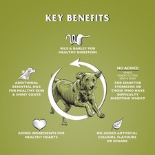 Dr John Hypoallergenic Wheat-Free Dry Dog Food 12.5kg Lamb with Rice 1.92 per kilo