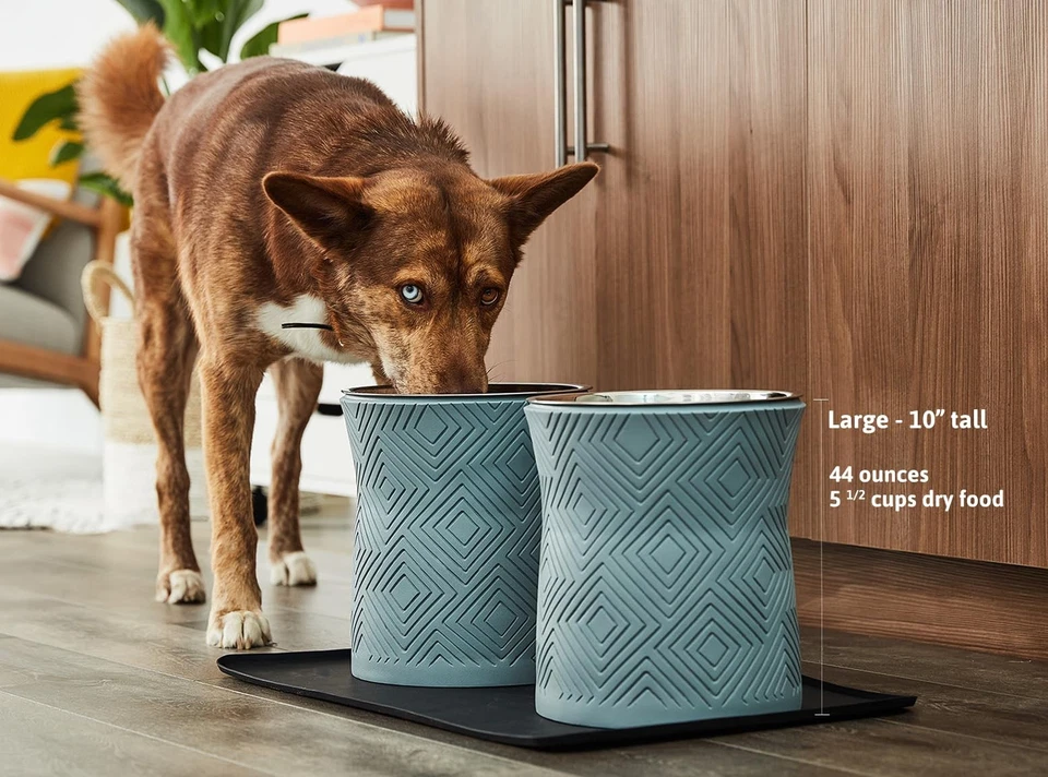 Soporte de cuenco elevado individual para perro Santa Fe con acero inoxidable extraíble 44 oz I... Foto 3 de 4