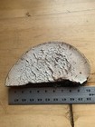 Foto 3 di 4