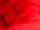 Bild 11 von 12