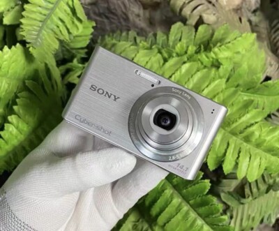 Sony Cyber-shot W610 14.1MP 4x Optical Zoom Digital Camera Green