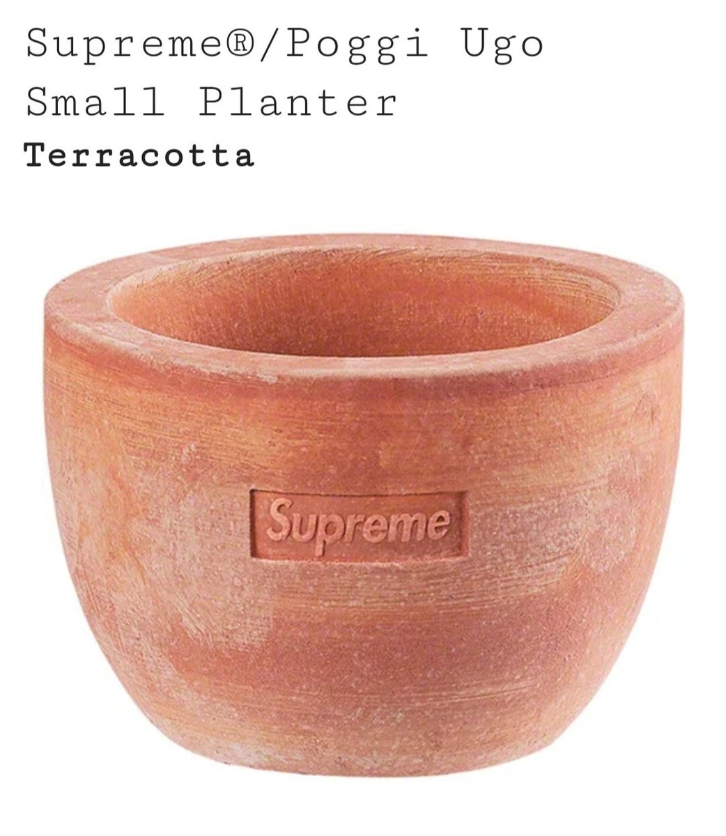 Supreme / Poggi Ugo Large Planter Ugo Poggi Supreme ⁄ 花盆盆栽