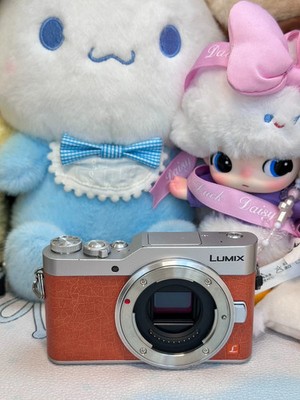 Panasonic Lumix GF9 Flip Screen WiFi Mirrorless (Micro Four Thirds
