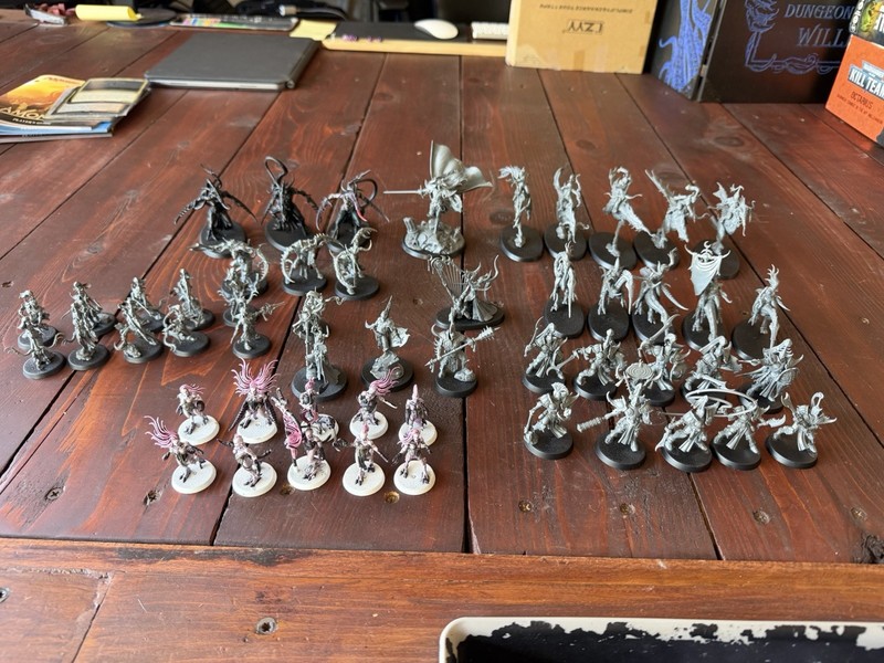 Hedonites of Slaanesh Army Miniatures