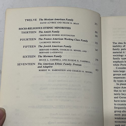 Ethnic Families in America : Patterns and Variations by Robert Habenstein 1976 - Picture 12 of 21