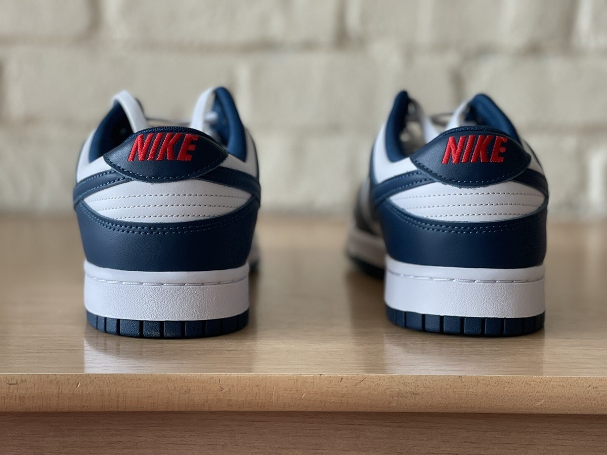 Nike Dunk Low Retro Valerian Blue/White Basketball Shoes Men Size 